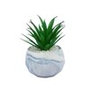 Blue 1 Pieces Succulent Artificial Plant With Pot