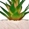 Citrus Delight Artificial Succulent With Pink Planter