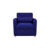 Jernell 1 Seater Sofa Cum Bed In Navy Blue Color