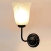 Devansh Metal Electric Wall Light in black Colour with White Shade Count of 1 Light