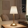Premium Cordless Metal Desk Lamp with 15 Hour Battery and Spotted Design