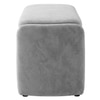 Risibol   Velvet 2 Seater Ottoman Bench with Storage in Grey  Color