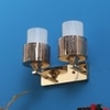 Eliante Modern Wall Lights Mild Steel & Glass Material Gold & White Finish