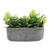Verdant Bliss Planter