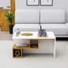 Hexa Engineered Wood Coffee Table With Storage In Frosty White And Giant Wood
