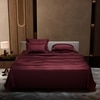 Stoa Paris Super King Size Bedsheet with 4 Pillow Covers  Size Velvet Wine