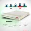 Tatva - Organic Cotton Fabric Latex Mattress (75 x 48 in, 6 Inches)