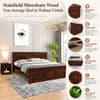 Stainfleld Solid Wood Queen  Size Bed Without Storage (Walnut Finish)