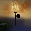 Devansh Metal Electric Wall Light in Black Colour with Multi Shade Count of 1 Light