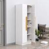 Hexa Red Wooden 2 Door Wardrobe with 4 Shelves in Frosty White Colour