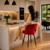 Doe Buck Mixoy Velvet Bar Stool in Emerald Red Colour with Gold Accents