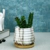 White 1 Pieces Succulent Artificial Plant With Pot
