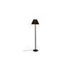 Vihaan Black Fabric Shade Floor Lamp with Black Iron Base