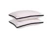 Springtek Microfiber Luxurious Super Soft Micro Fibre Premium 17 X 27 Inch Set of 2 Pillows
