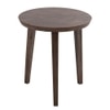 Metalsmith Solid Wood Side Table in Walnut Finish