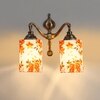 Devansh Metal Electric Wall Light in Multi Colour with Multi Shade Count of 2 Lights