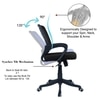 Diicea Mid Back Ergonomic Chair in Black Colour