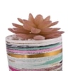 Sucullent Artificial Plant With Horizontal Multicolored Stripes Along With Pot