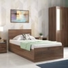 Zoey Engineered Wood Single Size Box Storage Bed In Classic Walnut Finish