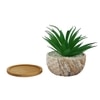 Artificial Fern Plant In A Patterned Ceramic Pot With A Wooden Plate