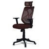 Zeeazyana High Back Ergonomic Chair in Brown Colour
