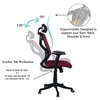 Zeeazyana High Back Ergonomic Chair in Maroon Colour