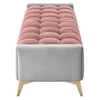 Hoslo Velvet 2 Seater Ottoman Bench in Peach & Grey Color