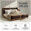 Valerio Duo-Panel Luxe Queen Size Bed in Chocolate Brown colour Velvet with Oak wood Frame