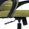 Diicea Mid Back Ergonomic Chair in Pearl Green Colour