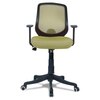 Xxeana Low Back Ergonomic Chair in Pearl Green Colour