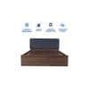 Japa Bed With Premium Leatherette Fabric And Box Storage Queen Bed