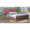 Viveka Bed With Premium Leatherette Fabric And Box Storage Queen Bed