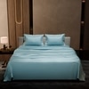 Stoa Paris Double Bedsheet with 2 Pillow Covers sheet with Dreamy Blue