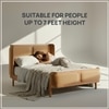 Valerio Duo-Panel Luxe Queen Size Bed in Camel Brown colour Velvet with Oak wood Frame