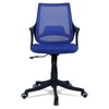 Ddeasirea Mid Back Ergonomic Chair in Blue Colour