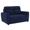 Alvaro Velvet 2 Seater Sofa Navy Blue Color