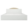 Arisa Engineered Wood King Size Bed In White Finish