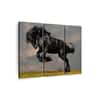 Truss Black Green Pieces Striking Friesian Stallion Canvas Wall Prints Set of 3 Multicolor Matte
