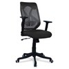 Zeeazyana Mid Back Ergonomic Chair in Black Colour