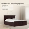 Fidora Solid Wood Queen Size Bed With Box Storage (Mahogany Finish)