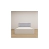 Ananda Engineered Wood Queen Size Bed In White Finish
