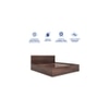 Ren Engineered Wood Queen  Size Bed With Box Storage (Walnut Finish)
