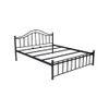 Morris Metal Queen Size Non Storage Bed In Black Finish