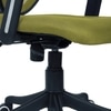 Aaeroa Low Back Ergonomic Chair in Pearl Green Colour