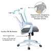 Xeanea Mid Back Ergonomic Chair in Grey Colour