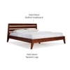 Leed Solid Wood Queen  Size Bed Without Storage (Dark Oak Finish)