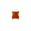 Danney Accent Chair With Ottoman