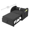 Jayen 1 Seater Pull Out Sofa cum Bed  in Dark Grey Colour