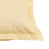 Ginger Set Of 2 Cushion Covers With Beige Colour