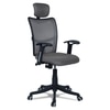 Jeaorda High Back Ergonomic Chair in Grey Colour